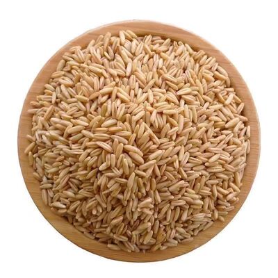 2025新燕麦米新米东北燕麦米农家裸燕麦搭配糙米代餐1斤多规格发