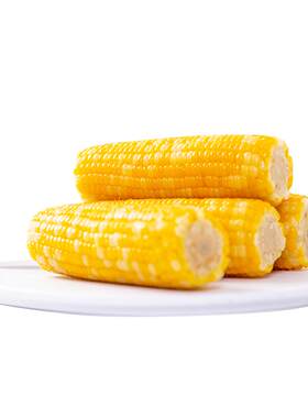 东北有机糯玉米奢享美味礼盒送礼