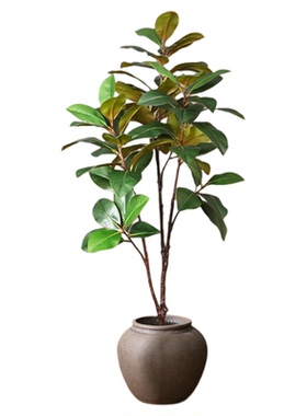 仿真绿植高端轻奢玉兰树