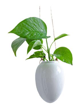 悬挂式水培花盆壁挂绿萝花瓶陶瓷