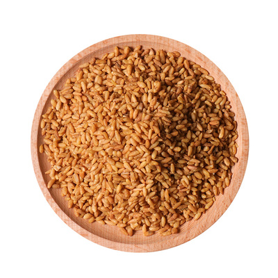 去壳柏子仁500克包邮中药材