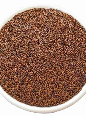 内蒙古野生菟丝子药材兔丝子精选男性泡茶泡酒可搭配黄芪五味子