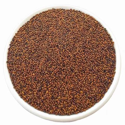 内蒙古野生菟丝子药材兔丝子精选男性泡茶泡酒可搭配黄芪五味子