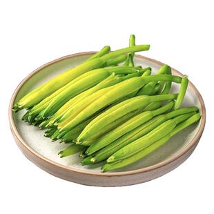 农家特产黄花菜新鲜现摘包邮蔬菜野菜商用金针菜忘忧草下饭菜