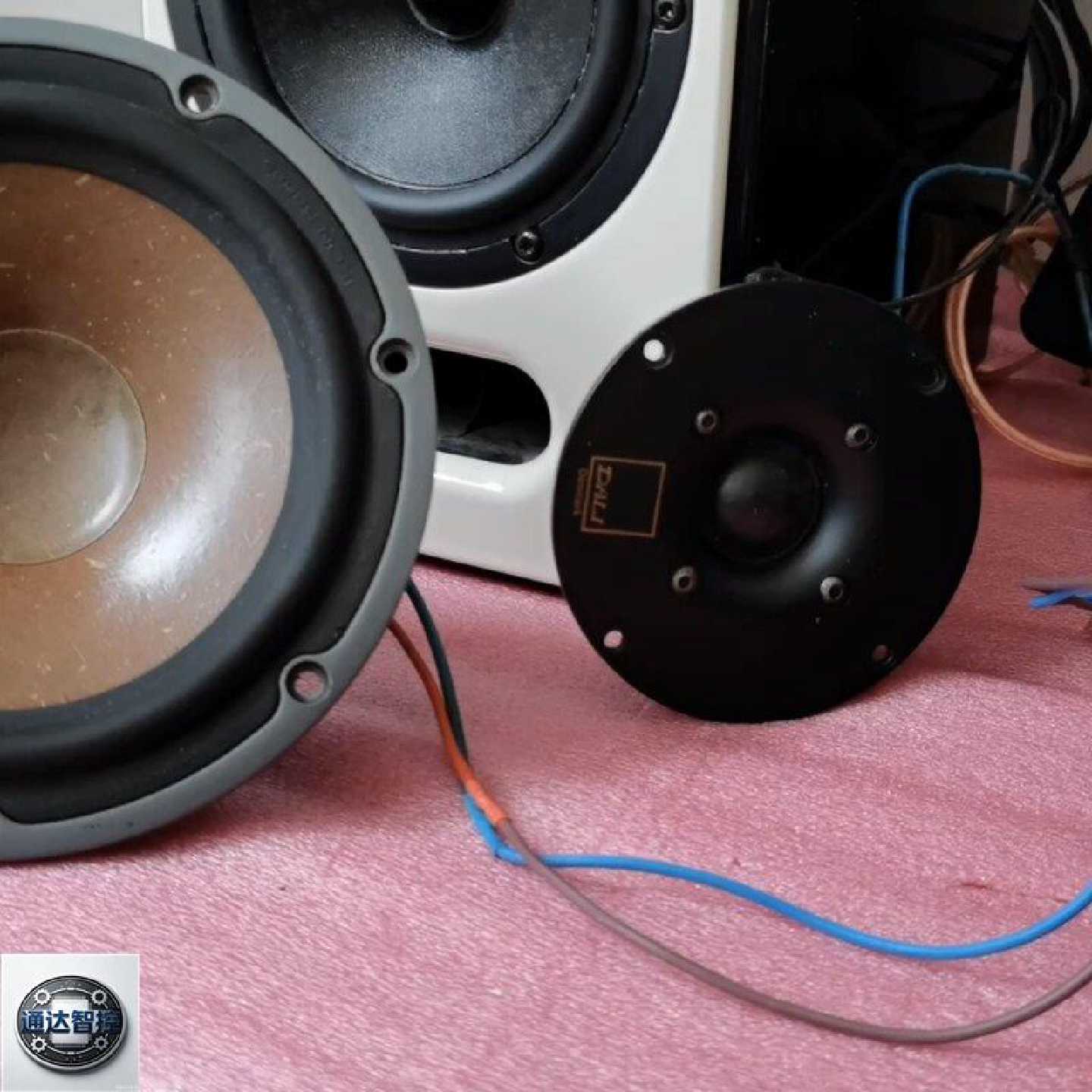 可维修丹麦达尼6.5寸铝架双磁桨长冲程中低音拆箱