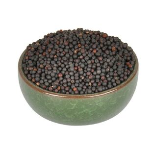 新型黑金刚黑麦种籽 小麦种子 粮食种子营养高产抗寒抗倒伏纯种籽