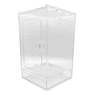 爬虫老爷树蛙亚克力款蜘蛛甲虫蜥蜴饲养寄居蟹睫角守宫树栖爬宠盒