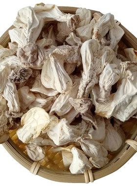 人参特产姑奶奶散装包邮长寿菇