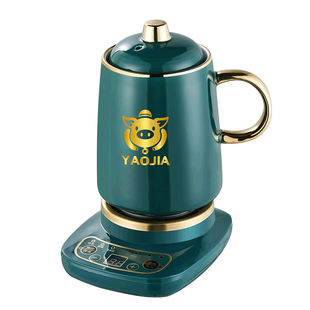 养生壶办公室迷你小型煮茶壶mini煮茶器家用多功能花茶养生杯玻璃