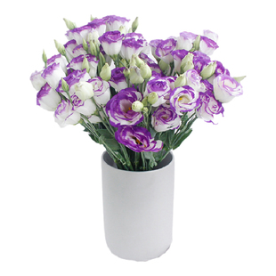 洋桔梗鲜花云南基地直发紫色家用花束插花水培桔梗鲜切花顺丰包邮