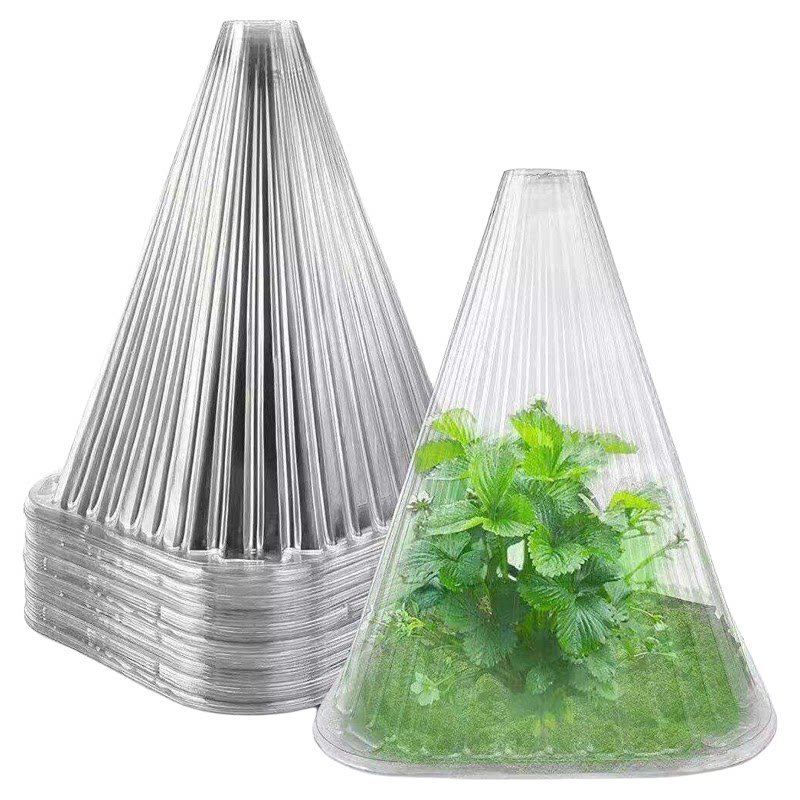 育苗保护罩加厚幼苗植物钟罩大棚菜苗霜冻大号保护防虫罩育苗神器
