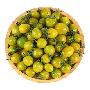 青甜2号圣女果绿色樱桃小番茄新鲜绿色千禧生吃即食绿宝石小柿子