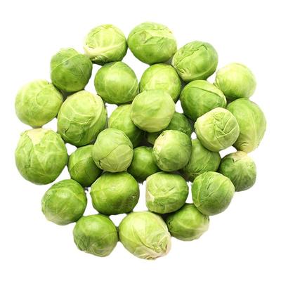 富兰克林抱子甘蓝高产四季