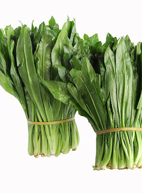 云南德宏新鲜蔬菜香料芫荽