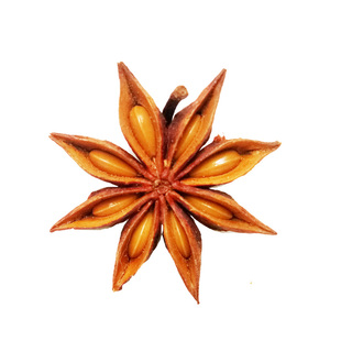 古龙镇大红八角卤料茴香广西藤县干货精选新货500G克牛皮纸袋包邮