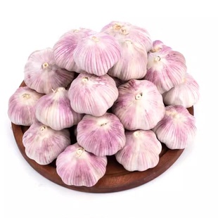 山东金乡紫皮大蒜头干蒜农家自种蔬菜红皮大蒜新鲜当季批发价自提