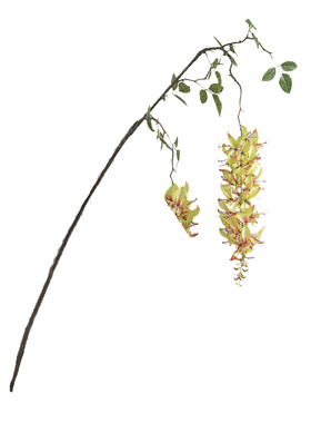 长枝落地仿真花小众花材碧玉藤