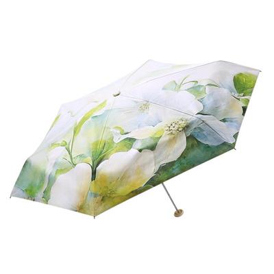 天堂五折胶囊伞清新马卡龙黑胶