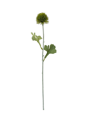 仿真绿植蒲公英把束葱球花装饰