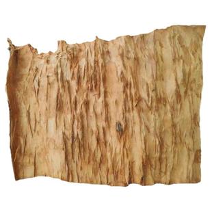 正宗红豆杉树皮富含紫杉醇煮水泡酒药材藏货零售紫杉赤柏松红豆杉