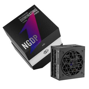 首席玩家NGDP铂金1000W全模组ATX3.0&3.1台式机电脑电源电竞5090