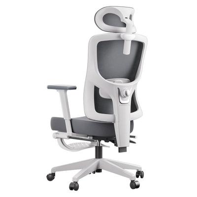 【国补15%】黑白调P5人体工学椅