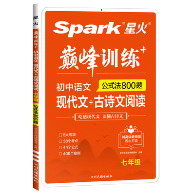 巅峰训练spark星火初中