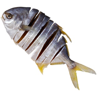 顺丰金鲳鱼干500g金昌鱼咸鱼干湛江淡晒银鲳鱼金仓鱼干货海鲜礼盒