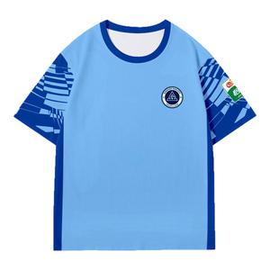 2025赛季深圳新鹏城队服球员版足球衣服速干短袖T恤衫男冰丝半袖