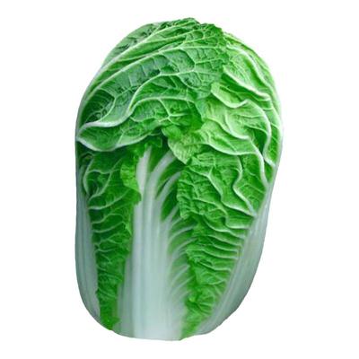 蔬菜春秋鸡蛋黄大白菜