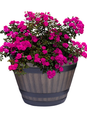 复古仿木桶塑料花盆睡莲碗莲盆缸