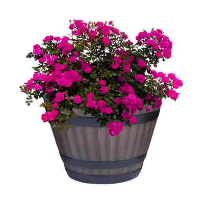 复古仿木桶塑料花盆睡莲碗莲盆缸