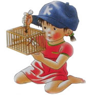 爸妈网Hi5系列Phonics Cards自然拼读卡片点读版爸妈网点读笔