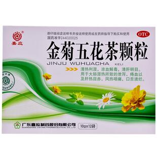 嘉应牌金菊五花茶颗粒凉血明目流行性腮腺炎清热祛湿清肝湿热解毒