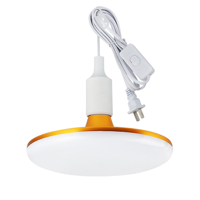 带开关插头灯节能灯LED灯220V