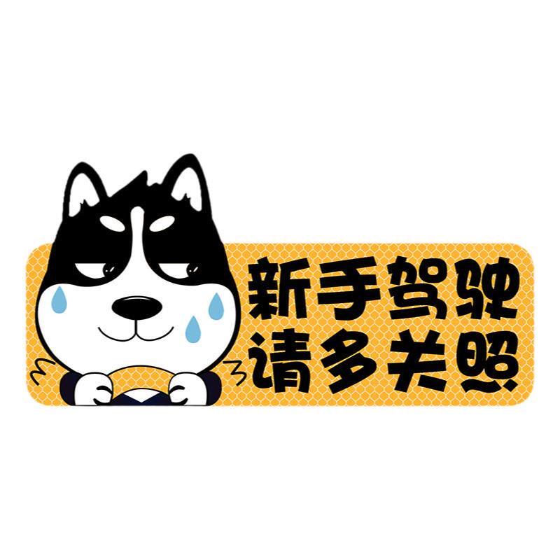 【品质TOP】朋友都用d新手实习贴