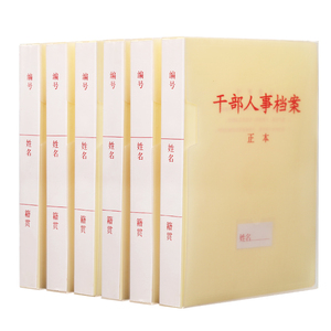 10个装新标准a4干部党建干部人事