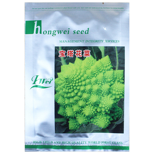 宝塔花椰菜种子苗耐寒特色菜花孑花菜籽种秋冬四季蔬菜种籽秧