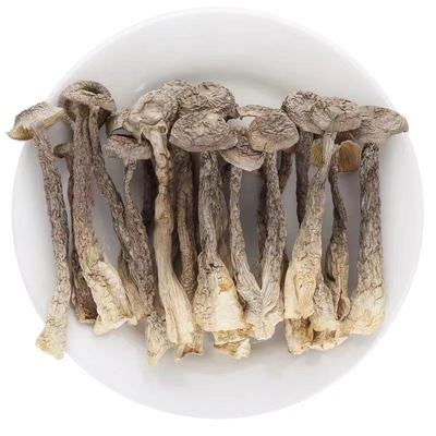 特级500g包邮天然无硫鹿茸菇干货