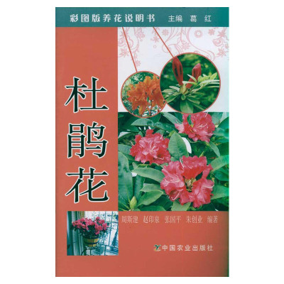 杜鹃花 彩图版养花说明书 周斯建等著 室内设计书籍入门自学土木工程设计建筑材料鲁班书毕业作品设计bim书籍专业技术人员继续教育