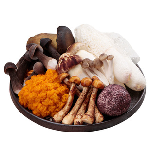 云南新鲜菌子野生菌松茸黑松露见手青牛肝菌蘑菇组合鲜菌菇火锅
