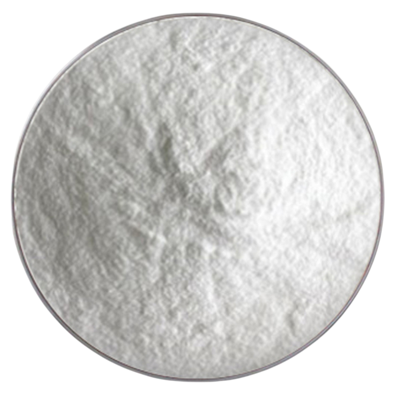 植物乳杆菌100亿 高含量萃取浓缩精华粉末养生保健调理肠胃赠量勺