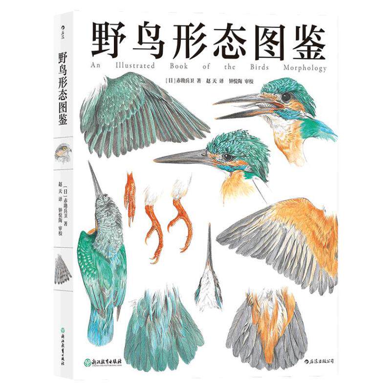 野鸟形态图鉴鸟类描绘与解说