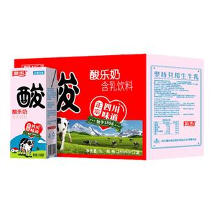菊乐酸乐奶早餐奶整箱儿童含乳饮料250ml*12盒牛奶手提礼盒装送礼