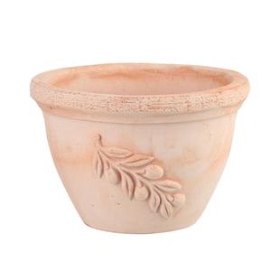 虹越郁金香专用花盆朱顶红花盆洋水仙陶盆红陶透气长方形种植盆栽