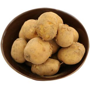 恩施小土豆 高山老品种农家马尔科洋芋 巴乡农哥硒土豆马铃薯5斤