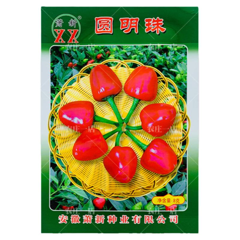 超辣小灯笼椒草莓椒种子辣味浓烈