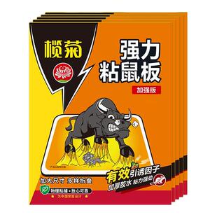 榄菊老鼠贴强力粘鼠板捕鼠神器家用沾鼠灭除老鼠加大加厚旗舰正品