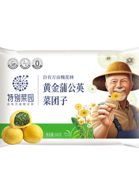 蒲花岛冷冻菜团子邯郸野菜