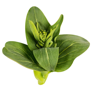 顺丰包邮农家自种露天生长霜冻苏州青菜苔新鲜菜心蔬菜新鲜当季